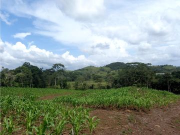 Se Vende hermoso Terreno en la Chorrera, Santa Rita