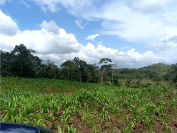 Se Vende hermoso Terreno en la Chorrera, Santa Rita