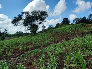 Se Vende hermoso Terreno en la Chorrera, Santa Rita
