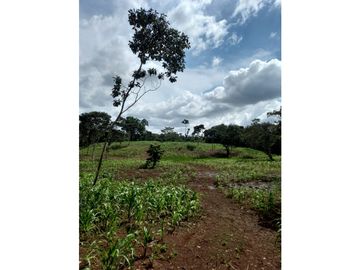 Se Vende hermoso Terreno en la Chorrera, Santa Rita