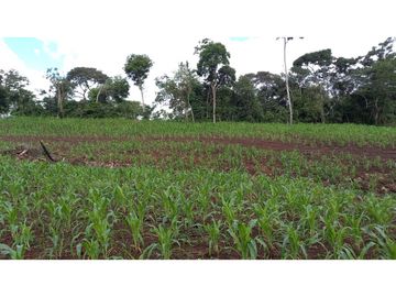 Se Vende hermoso Terreno en la Chorrera, Santa Rita