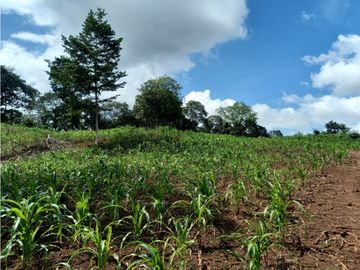 Se Vende hermoso Terreno en la Chorrera, Santa Rita