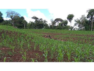 Se Vende hermoso Terreno en la Chorrera, Santa Rita