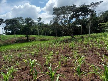 Se Vende hermoso Terreno en la Chorrera, Santa Rita