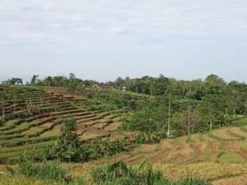 Tanah karangpandan view cantik sekali