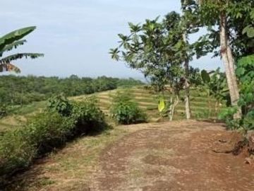 Tanah karangpandan view cantik sekali