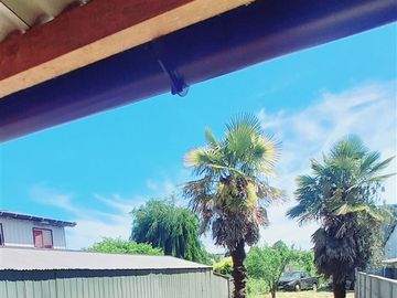 Estupenda propiedad en centro de Valdivia !!!