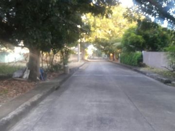 172 Sqm Residential Lot for Sale in Villas Magallanes Basak Lapu-Lapu Cebu
