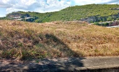 Overlooking 151 Sqm Lot for Sale in Aspen Heights Consolacion Cebu