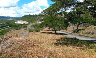 Overlooking 151 Sqm Lot for Sale in Aspen Heights Consolacion Cebu
