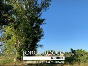 Campo en venta en Gomez. 7.6 has en 4 fracciones