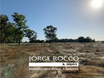 Campo en venta en Gomez. 7.6 has en 4 fracciones