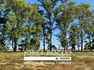 Campo en venta en Gomez. 7.6 has en 4 fracciones