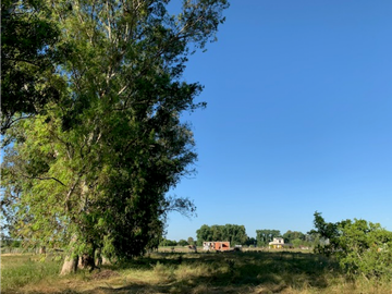 Campo en venta en Gomez. 7.6 has en 4 fracciones