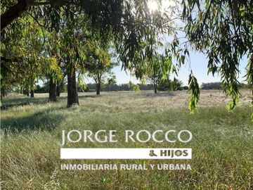 Campo en venta en Gomez. 7.6 has en 4 fracciones