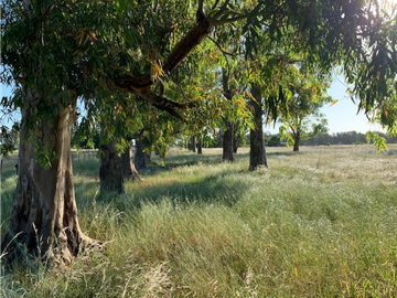Campo en venta en Gomez. 7.6 has en 4 fracciones