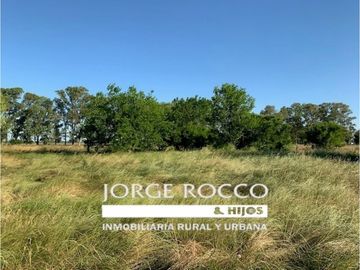 Campo en venta en Gomez. 7.6 has en 4 fracciones