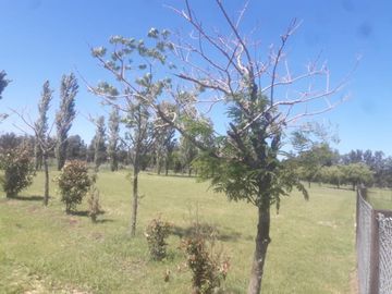 VENDE LOTE EXCELENTE UBICACION EN CLUB DE CAMPO HARAS DE FUNES