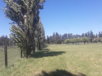 VENDE LOTE EXCELENTE UBICACION EN CLUB DE CAMPO HARAS DE FUNES