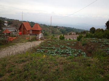 120 M2 Kavling Lembah & Bukit Rumah Kayu Kampung Hijau, PakuHaji, BISA DP & CICIL