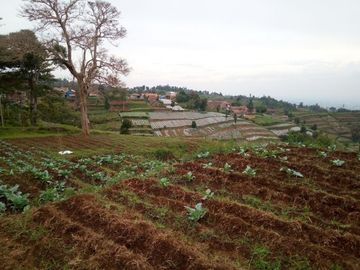 120 M2 Kavling Lembah & Bukit Rumah Kayu Kampung Hijau, PakuHaji, BISA DP & CICIL