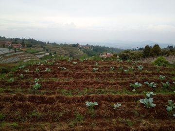 120 M2 Kavling Lembah & Bukit Rumah Kayu Kampung Hijau, PakuHaji, BISA DP & CICIL