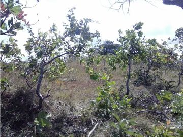 Sea Confiable vende terreno en La Mesa de San Martín de Pacora