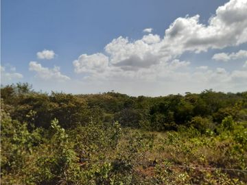Sea Confiable vende terreno en La Mesa de San Martín de Pacora
