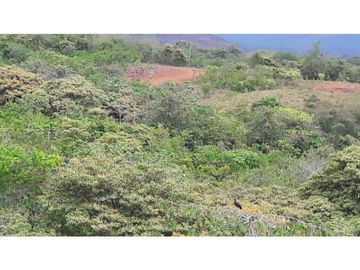 Sea Confiable vende terreno en La Mesa de San Martín de Pacora