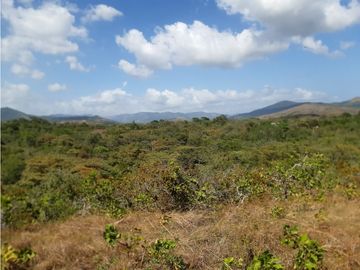 Sea Confiable vende terreno en La Mesa de San Martín de Pacora