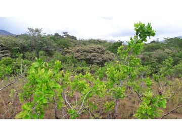 Sea Confiable vende terreno en La Mesa de San Martín de Pacora