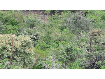 Sea Confiable vende terreno en La Mesa de San Martín de Pacora