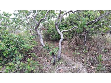 Sea Confiable vende terreno en La Mesa de San Martín de Pacora