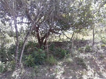 Sea Confiable vende terreno en La Mesa de San Martín de Pacora