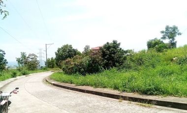 Overlooking 169 Sqm Lot for Sale in Vista Grande Talisay Cebu City