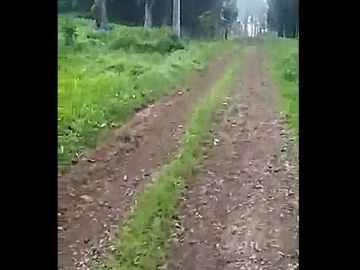 Jual Tanah Peternakan Sapi 4 Ha Di Cisarua Bandung Barat