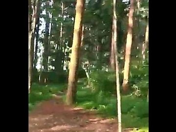 Jual Tanah Peternakan Sapi 4 Ha Di Cisarua Bandung Barat
