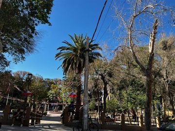 Imperdible terreno 10100 metros cerca de Pisco Elqui
