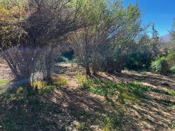Imperdible terreno 10100 metros cerca de Pisco Elqui