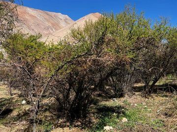 Imperdible terreno 10100 metros cerca de Pisco Elqui