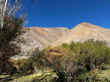 Imperdible terreno 10100 metros cerca de Pisco Elqui