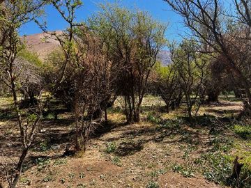 Imperdible terreno 10100 metros cerca de Pisco Elqui