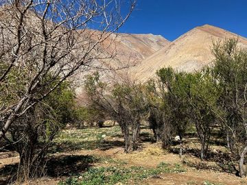 Imperdible terreno 10100 metros cerca de Pisco Elqui