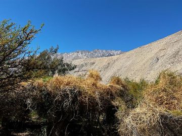 Imperdible terreno 10100 metros cerca de Pisco Elqui