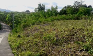 195 Sqm Overlooking Subdivision Lot for Sale in Vista Verde Consolacion Cebu
