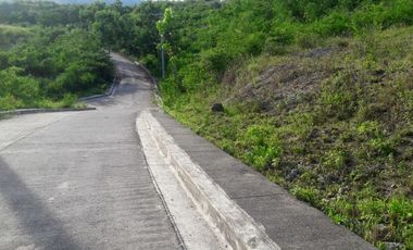 195 Sqm Overlooking Subdivision Lot for Sale in Vista Verde Consolacion Cebu
