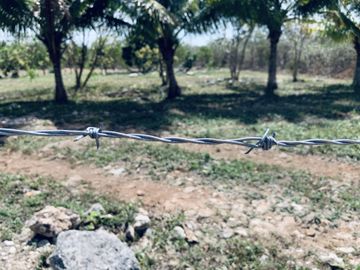 RANCHO CON GRAN VARIEDAD DE ARBOLES FRUTALES EN YOBAIN, YUC.