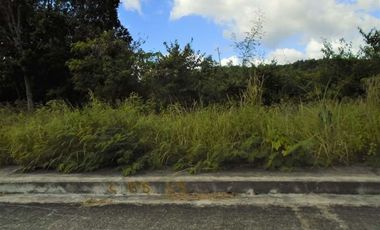 150 Sqm Lot for Sale in Vista Grande Talisay Cebu City with Seaview