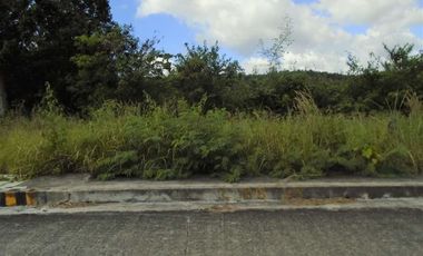 150 Sqm Lot for Sale in Vista Grande Talisay Cebu City with Seaview