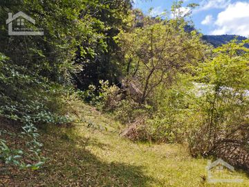 VENTA DE HERMOSO TERRENO CON INVERNADEROS COLINDA CON ARROYO EN CARBONERAS, MINERAL DEL CHICO.